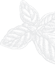 flower image