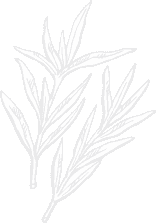 flower image