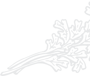 flower image